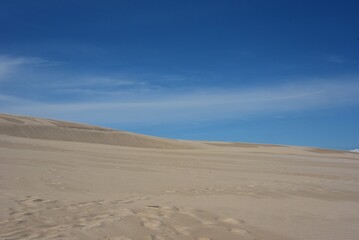 Fototapeta na wymiar moving sand dunes near the city of Léba in Poland.