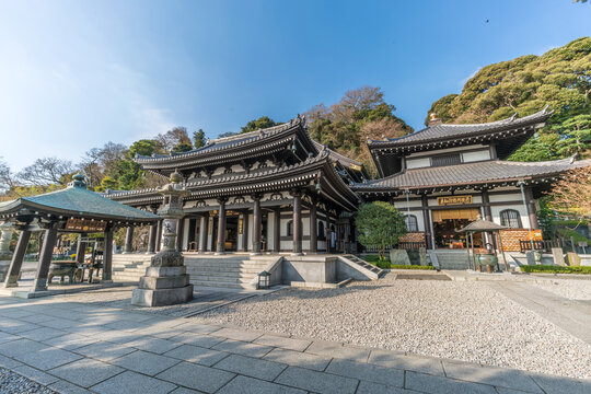 Kamakura, Kanagawa Prefecture, Japan - November 16, 2017 - Haze-dera temple or Hase-kannon temple. Kannon-Do hall and Amida-do hall wich holds a amida Buhdda statue Comisioned in 1194