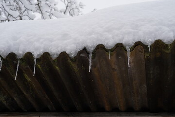 Icicles hanging from a roof of corrugated iron. The roof itself is covered with a thick layer of...