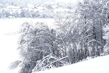 Surroundings of village Urdorf in Switzerland during winter season under heavy snowfall in January 2021. Trees and bushes in the background are covered with snow and diminishing in perspective. 