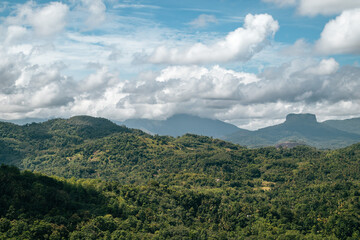 Sri Lanka Nuwara Elija Panorama 6 - 676040905