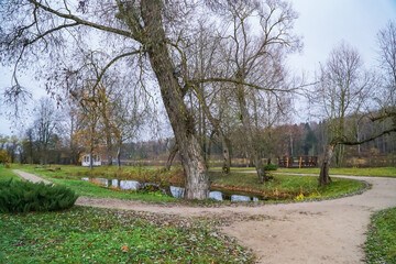 path in park