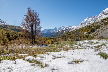 Paysage de montagne avec de la neige à l'automne en montagne dans les Alpes du Sud en France