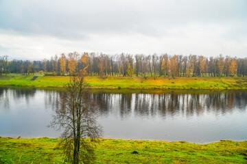 landscape with lake and trees