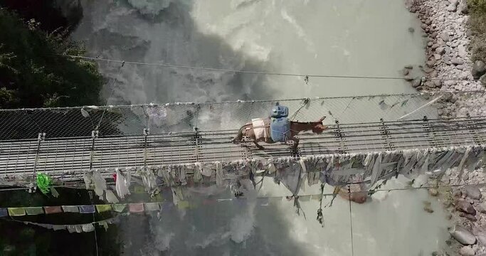 Donkeys loaded with belongings cross a suspension bridge over a river in Nepal