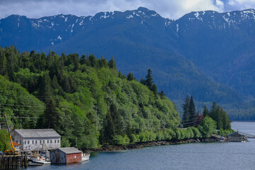 Street city view with wooden houses, shops, cars and mountain wilderness nature in Ketchikan, Alaska, popular cruise destination for whale watching in wildlife tours © Tamme Wichmann