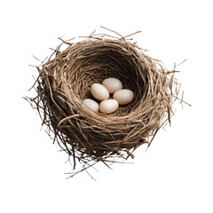 A nest with eggs in it