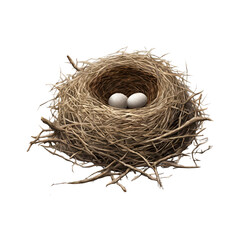 A nest with two eggs