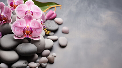 Hintergrund mit Orchideen, Produktplatzierung, grau, rosa, natur, Blüten, Steine, entspannung, 