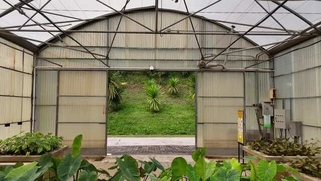 Plant greenhouse, plant nursery at the Queen Sirikit Botanical Garden, Chiang Mai, Thailand