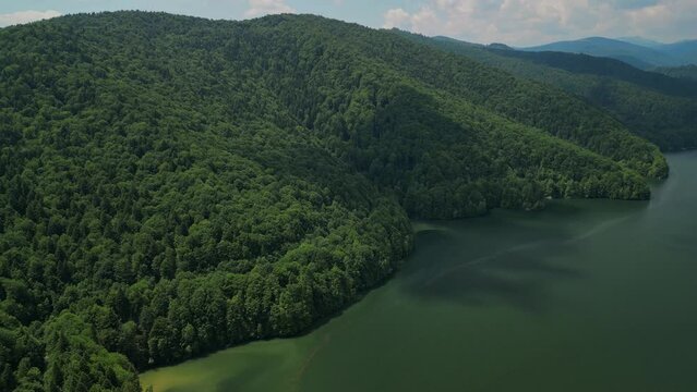 The Vidraru hydroelectric dam seen from the drone. Huge mountain lake at the edge off a big and wild forest in the summer season