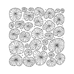 Pond square frame with lily pads leaf, top view for your design