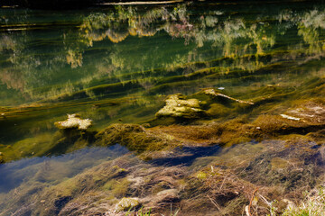 Transparent river water with moss and reflection of the autumn forest