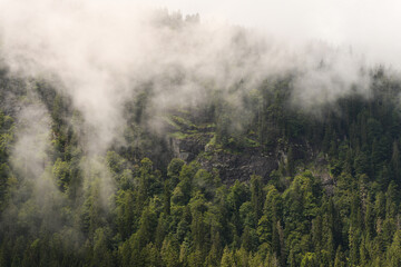 Bergwald mit Wolken, Bayerischer Wald, Deutschland