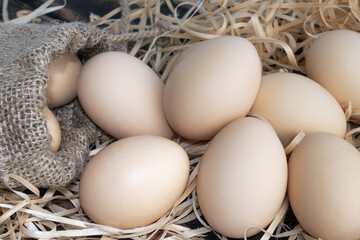 Organic Chicken Eggs. Eggs can give we protein A Close-Up Perspective. 