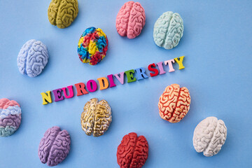 Neurodiversity concept. Multicolored figures of the brain - obrazy, fototapety, plakaty