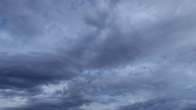 Birds fly in the dark sky