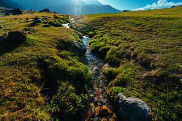 Stream in high mountains in summer