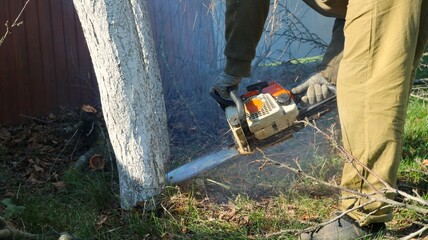 a man cuts down a bleached tree trunk with a chainsaw, manual cutting down of trees using a...