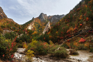 Breathtaking mountain landscape painted in hues of green, red and yellow. The beauty of the autumn season.