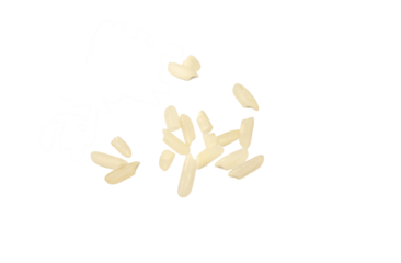 rice on white isolated background