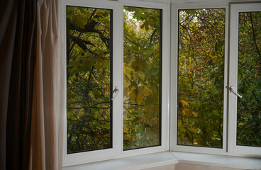 White window frame, view from the window, forest with yellow trees.  