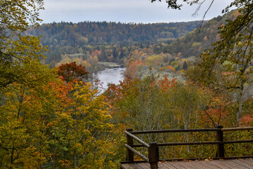 Sigulda's viewing platform with a view of the fall season
