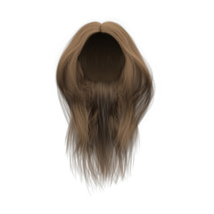 Naklejka premium 3d rendering straight medium brown long hair isolated