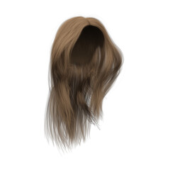 3d rendering straight medium brown long hair isolated