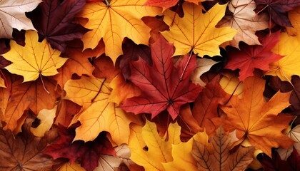 Naklejka na ściany i meble Captivating fall foliage mesmerizing backdrop of vibrant autumn leaves in stunning hues