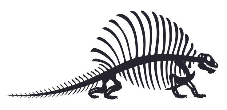 Cartoon dino skeleton. Dinosaur fossil bones silhouette. Ancient Jurassic reptile flat vector illustration on white background
