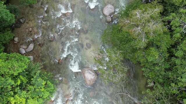 Harmony of nature as water flows over textured river rocks.