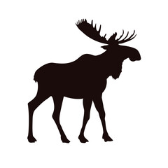 Moose silhouette - vector illustration
