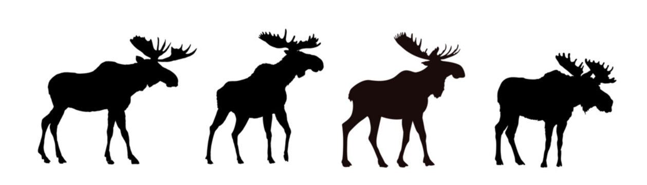  set of moose silhouette - vector illustration