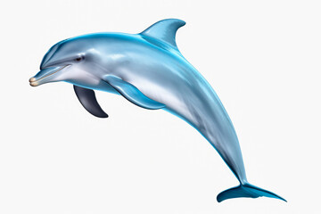 Fototapeta premium Dolphin isolated on a white background.