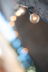 christmas lights on stone gate