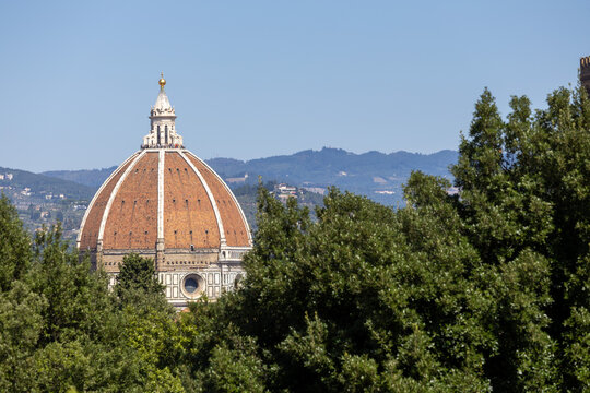 Cathedral and dome in Firenze, Italy. Cityscape on sunny day with trees in foreground