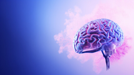 Human brain on a plain background with copy space