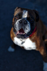 Lieber Blick auf dich 