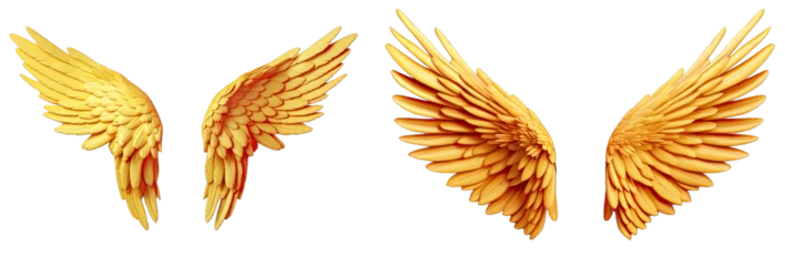 Fotobehang yellow angel wings isolated on transparent background.yellow wings.  © png-jpeg-vector