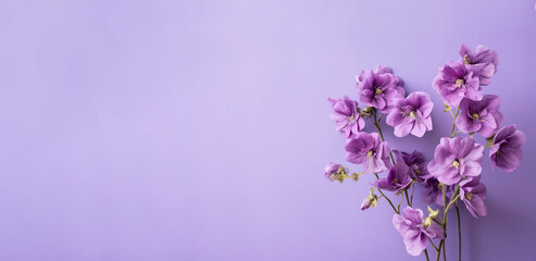 illustration of violet flowers on violet background. Created with Generative AI