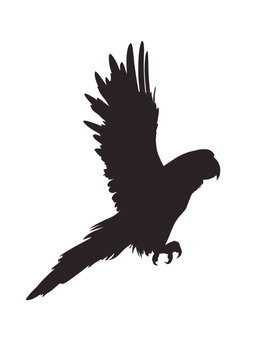 Parrot silhouette - isolated - vector illustration