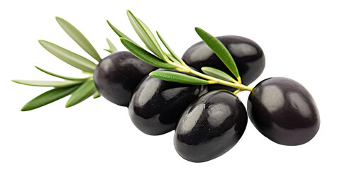 Olive branch with ripe and delicious olives, cut out - obrazy, fototapety, plakaty