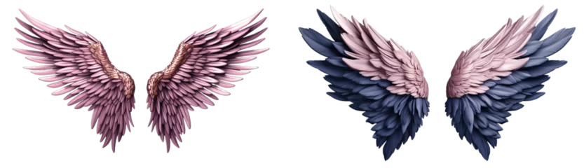 Foto op Plexiglas navy blue and gold angel wings isolated on transparent background.navy blue and gold wings.  © png-jpeg-vector