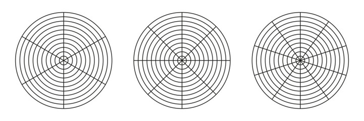 Wheel of life template. Simple coaching tool for visualizing all areas of life. Circle diagram of life style balance. Polar grid with segments, concentric circles. Blank of polar graph paper. Vector.