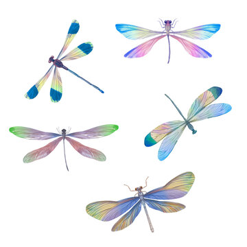 Set of colorful dragonflies drawn in watercolor on paper, isolate on a white background.
