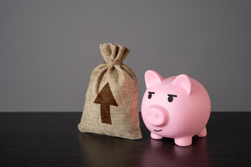 Pig piggy bank and a bag with an up arrow. Growth in profits. Career advancement, improvement and...