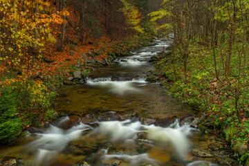 Huciva Desna river after rain morning near Kouty nad Desnou
