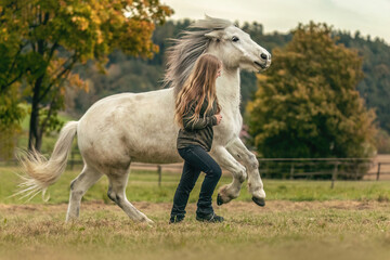 A young woman and her icelandic horse working and cuddle together, equestrian natural horsemanship concept