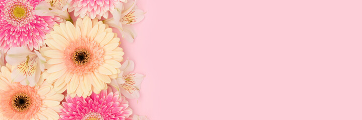 Banner with gerbera and alstroemeria flowers on a pink background. Floral concept with copy space.